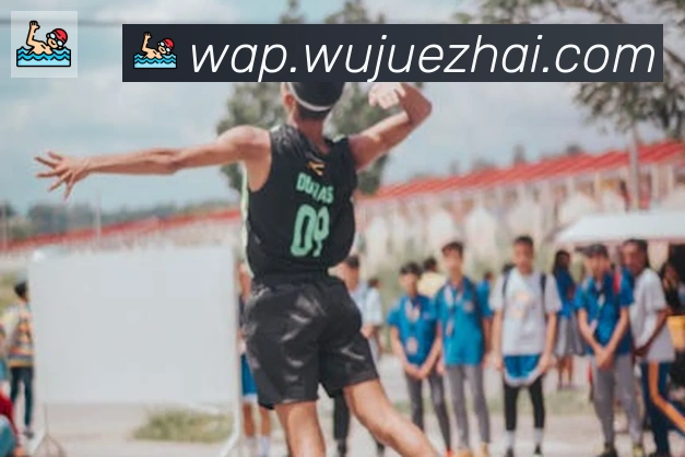 hth华体网页版登录入口APP 高清赛事图