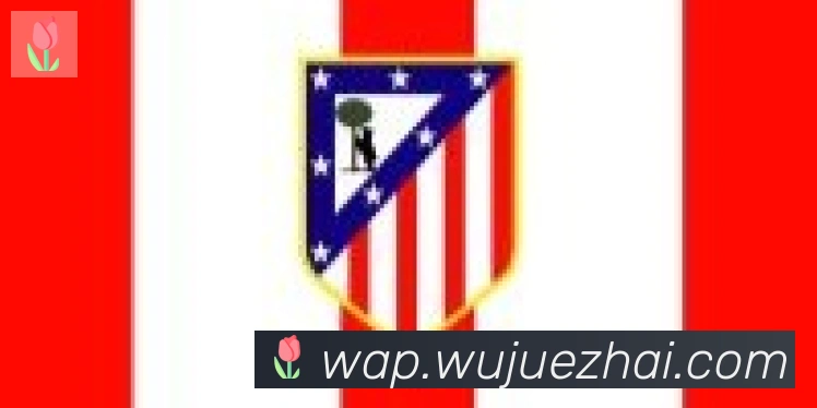 hth华体网页版登录入口合作伙伴